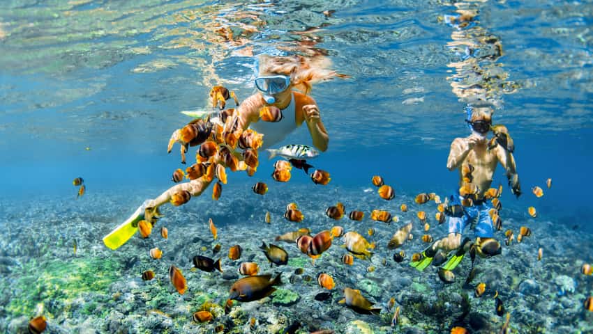 刘家湾赶海园攻略:赶海时间、装备与亲子玩法 刘家湾赶海园攻略:赶海时间、装备与亲子玩法