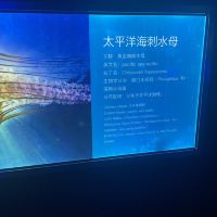 旅游景点推荐怎么做功课:从交通到体验逐项筛选 旅游景点推荐怎么做功课:从交通到体验逐项筛选