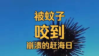 日照周末游怎么安排:两天一夜轻松看海方案 日照周末游怎么安排:两天一夜轻松看海方案